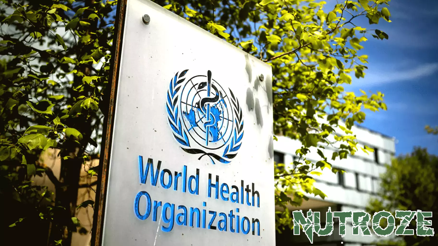 Insights into American Perspectives on the World Health Organization